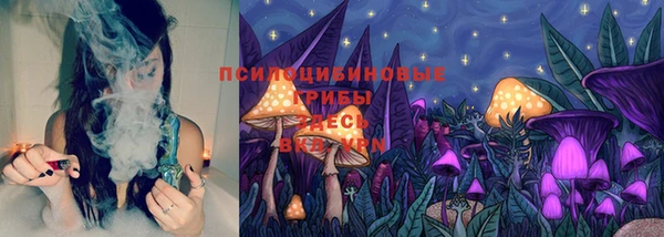 мдпв Александровское