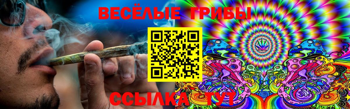 Похвистнево  Галлюциногенные грибы MAGIC MUSHROOMS  Вход с VPN  Галлюциногенные грибы GOLDEN TEACHER 